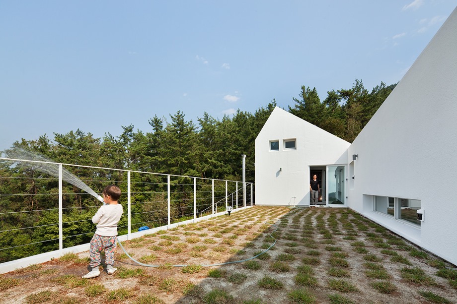 rooftop garden