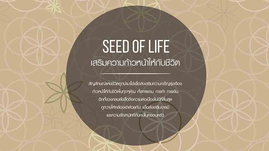 เครื่องนอนซาตินลาย SEED OF LIFE