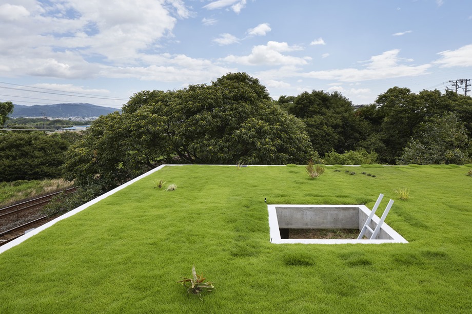 rooftop garden