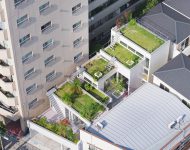 บ้านมี roof garden