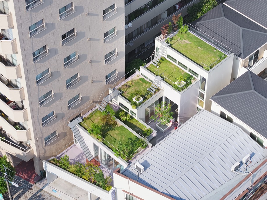 บ้านมี roof garden