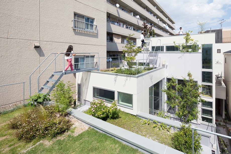 green roof