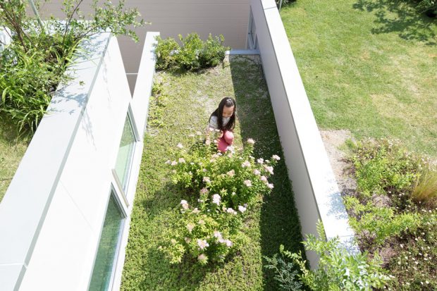 Garden-House บ้านมีสวนบนหลังคา