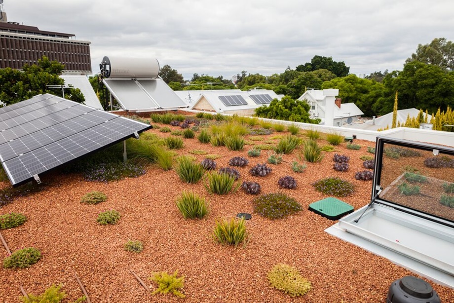 rooftop garden