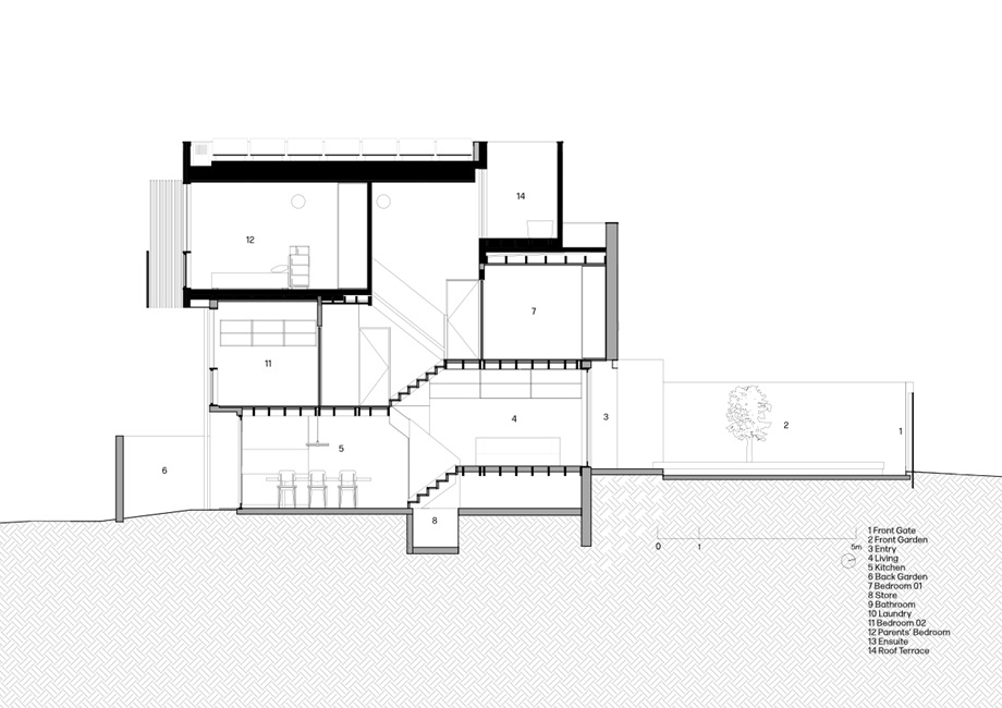 haines-section-4