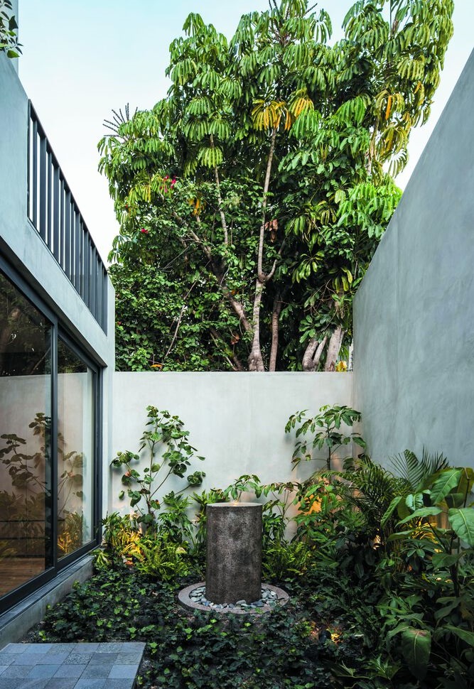 จัดสวนเล็กๆ ในบ้าน