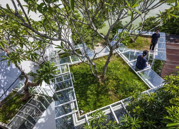 rooftop garden