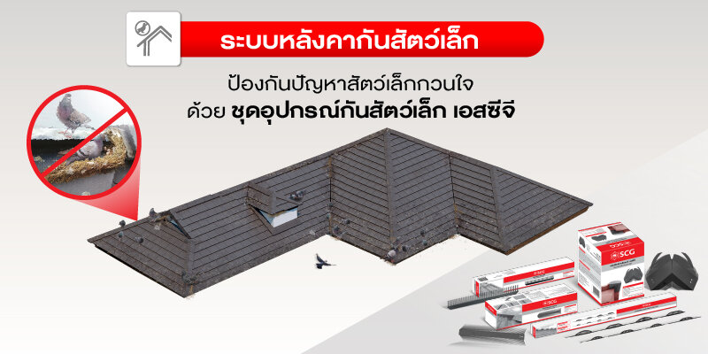 หลังคาป้องกันนก