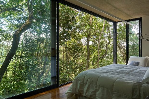 ห้องนอนผนังกระจกมองเห็นป่า