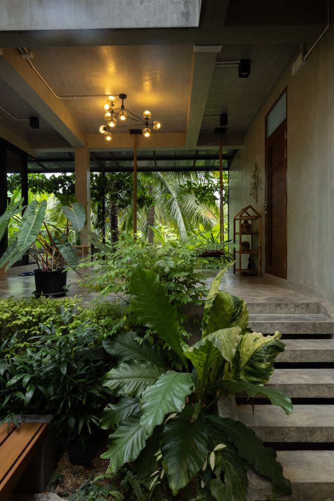 จัดสวนสไตล์เขตร้อน