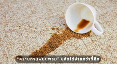 คราบกาแฟบนพรม