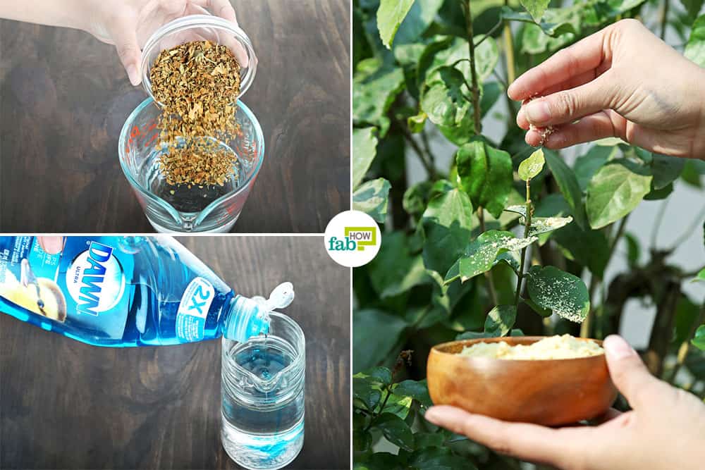 make-DIY-organic-pesticide