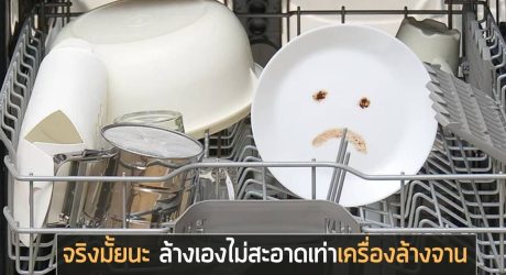 เครื่องล้างจานสะอาดจริงมั้ย