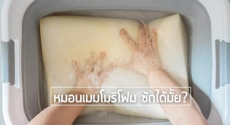 หมอมเมมโมรีโฟม ซักได้มั้ย