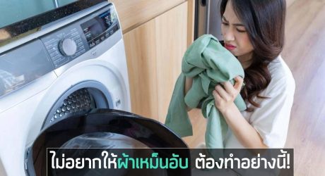 ผ้าเหม็นอับทำอย่างไร