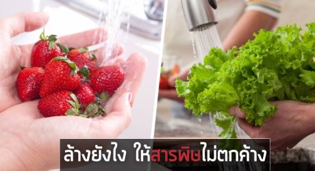 ล้างผักผลไม้ไม่ให้สารพิษตกค้าง