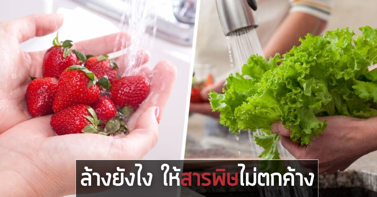 ล้างผักผลไม้ไม่ให้สารพิษตกค้าง