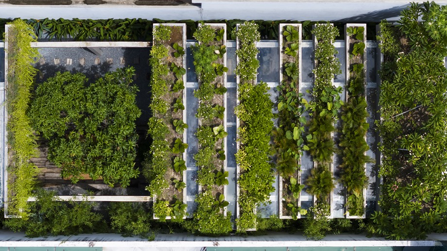 จัดสวนหลังคา Roof Garden