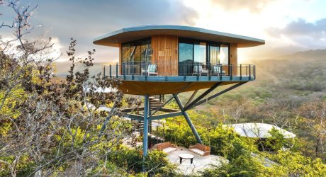 Suitree-Experience-Hotel