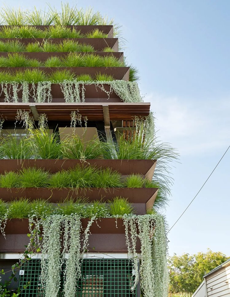 Green Building อาคารสีเขียวฟาซาดต้นไม้