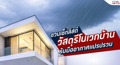 ยิปซัมตราช้าง