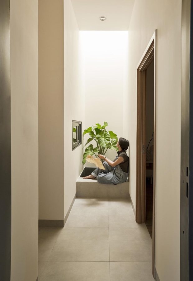 pocket garden มีช่องสกายไลท์
