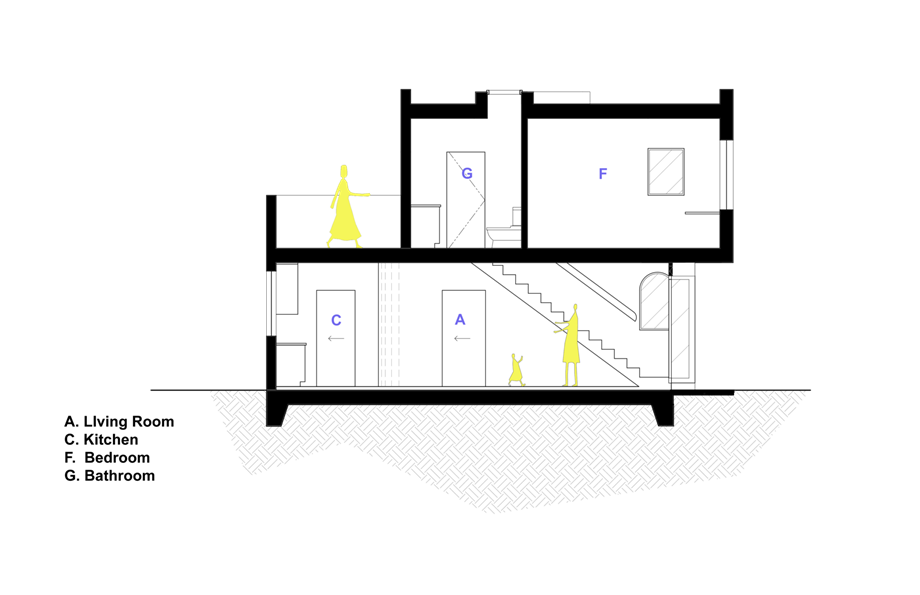 section-2