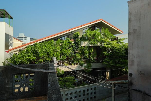 บ้านที่ปลูกต้นไม้ช่วยกันแสงแดด