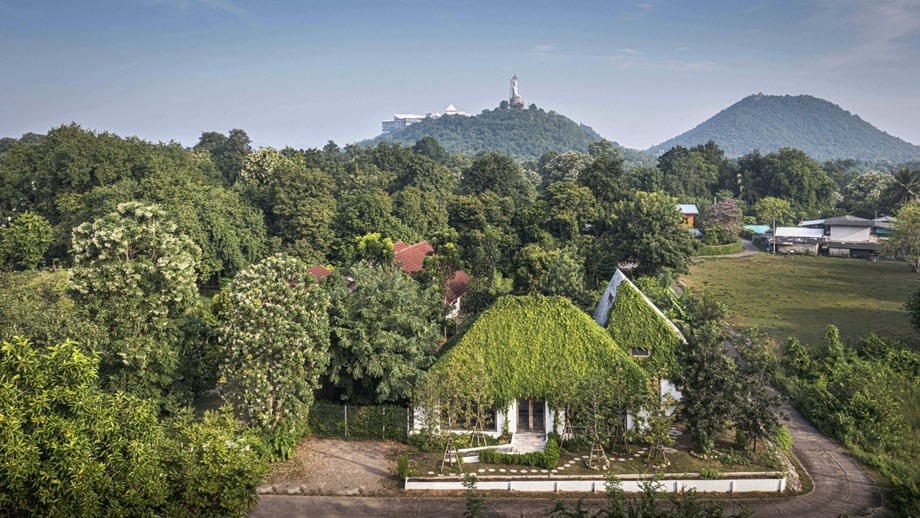 บ้าน green roof หลังคาไม้เลื้อย