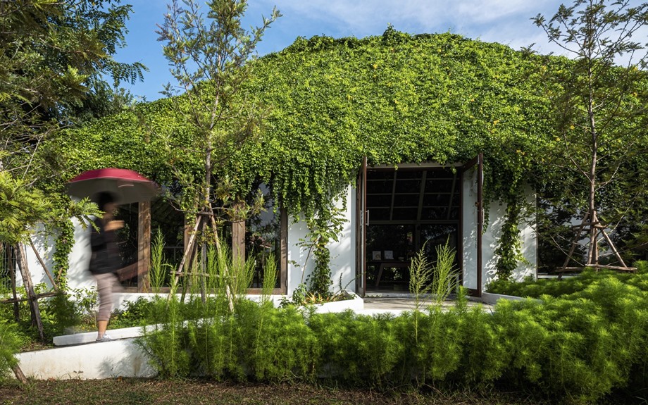 บ้าน green roof หลังคาคลุมด้วยต้นไม้
