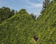 บ้าน green roof หลังคาคลุมด้วยต้นไม้