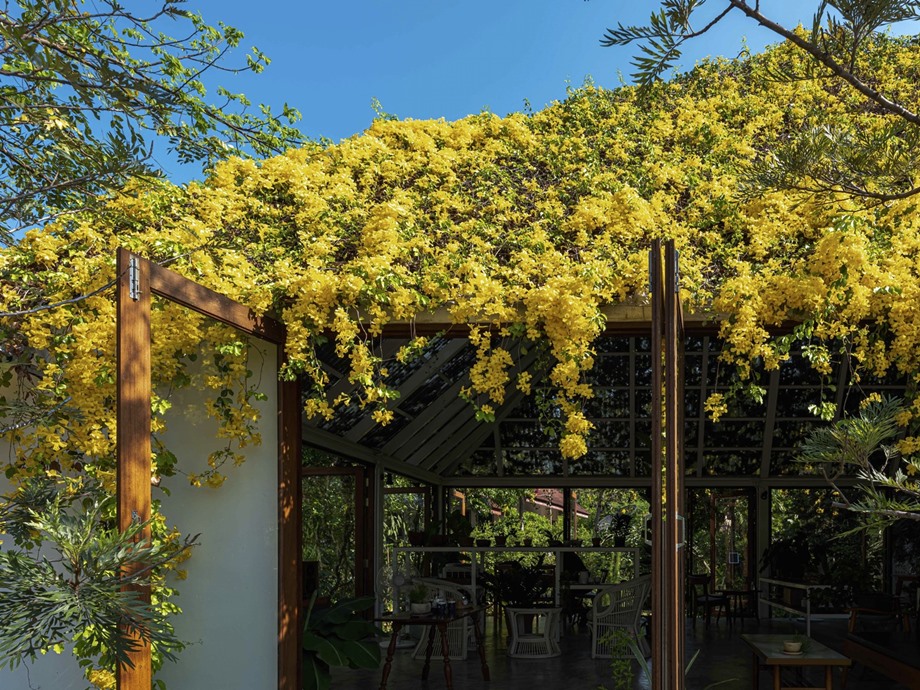 บ้าน green roof หลังคาคลุมด้วยต้นไม้