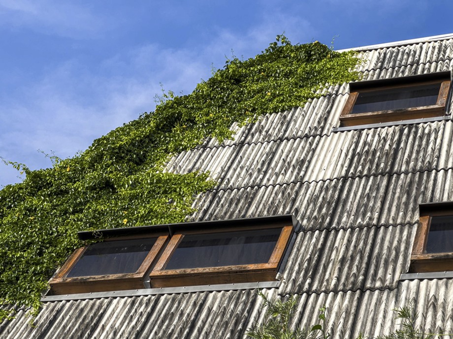 บ้าน green roof หลังคาคลุมด้วยต้นไม้