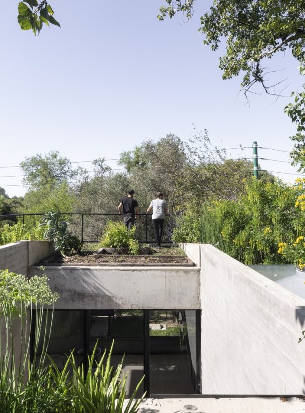 บ้านมี rooftop garden