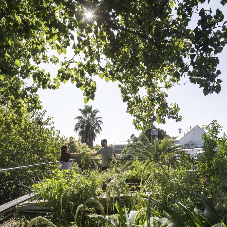 บ้านมี rooftop garden