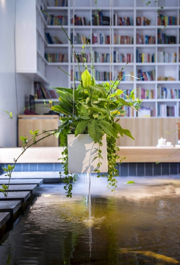 สร้างบ่อปลาและสวนแขวนในตัวบ้าน