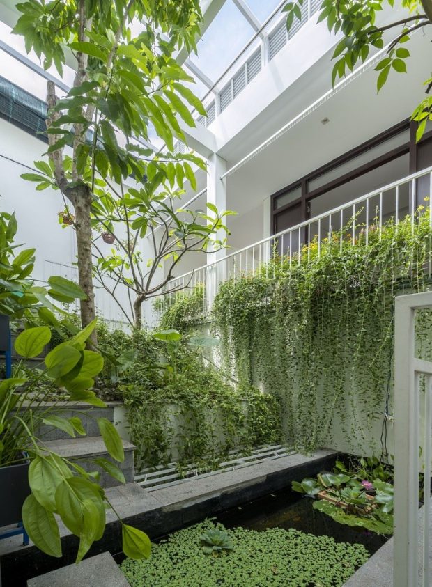 ปลูกต้นไม้และจัดสวนน้ำในตัวบ้าน
