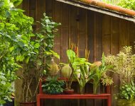 บ้านหลังคาเพิงหมาแหงนใจกลางป่า