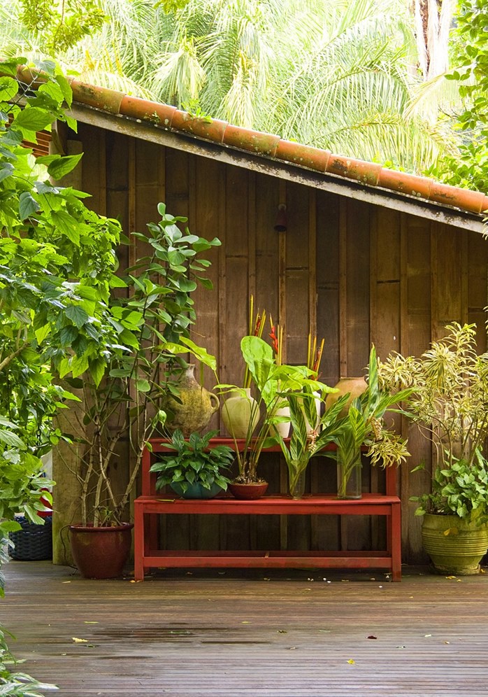บ้านหลังคาเพิงหมาแหงนใจกลางป่า