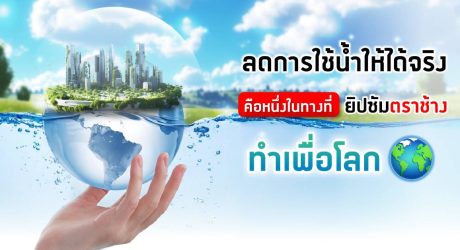 ยิปซัมตราช้าง ลดการใช้น้ำ